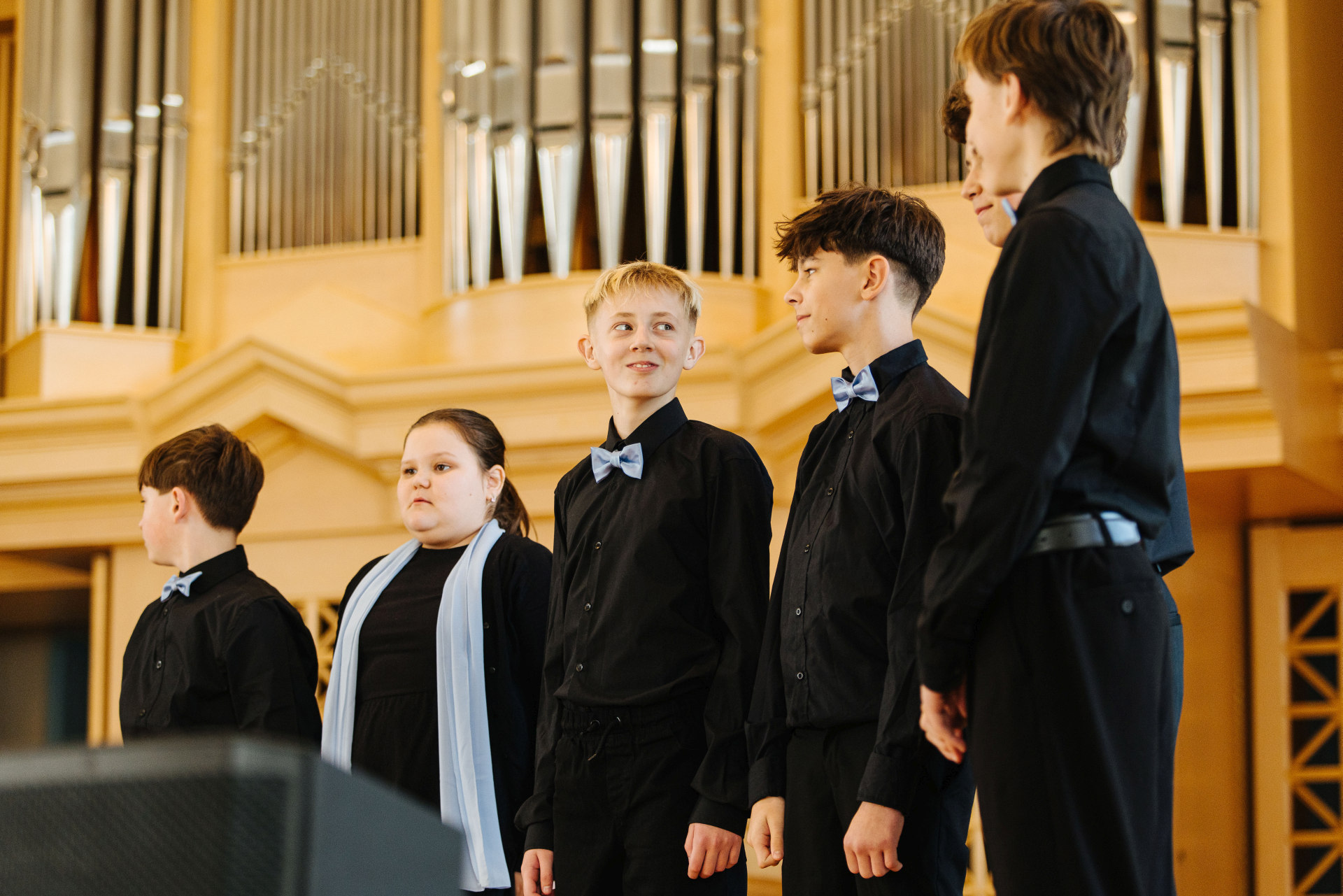 Early Bid Launched image 1